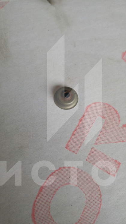 Колпачки маслосъемные IG1000