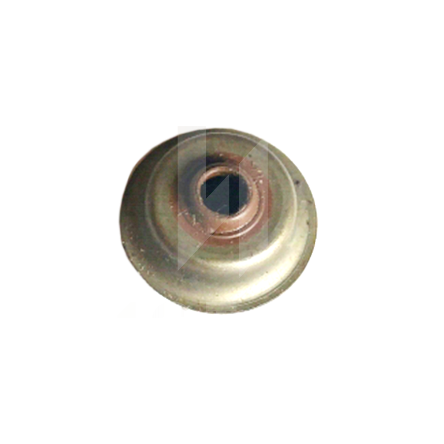 Колпачки маслосъемные IG1000