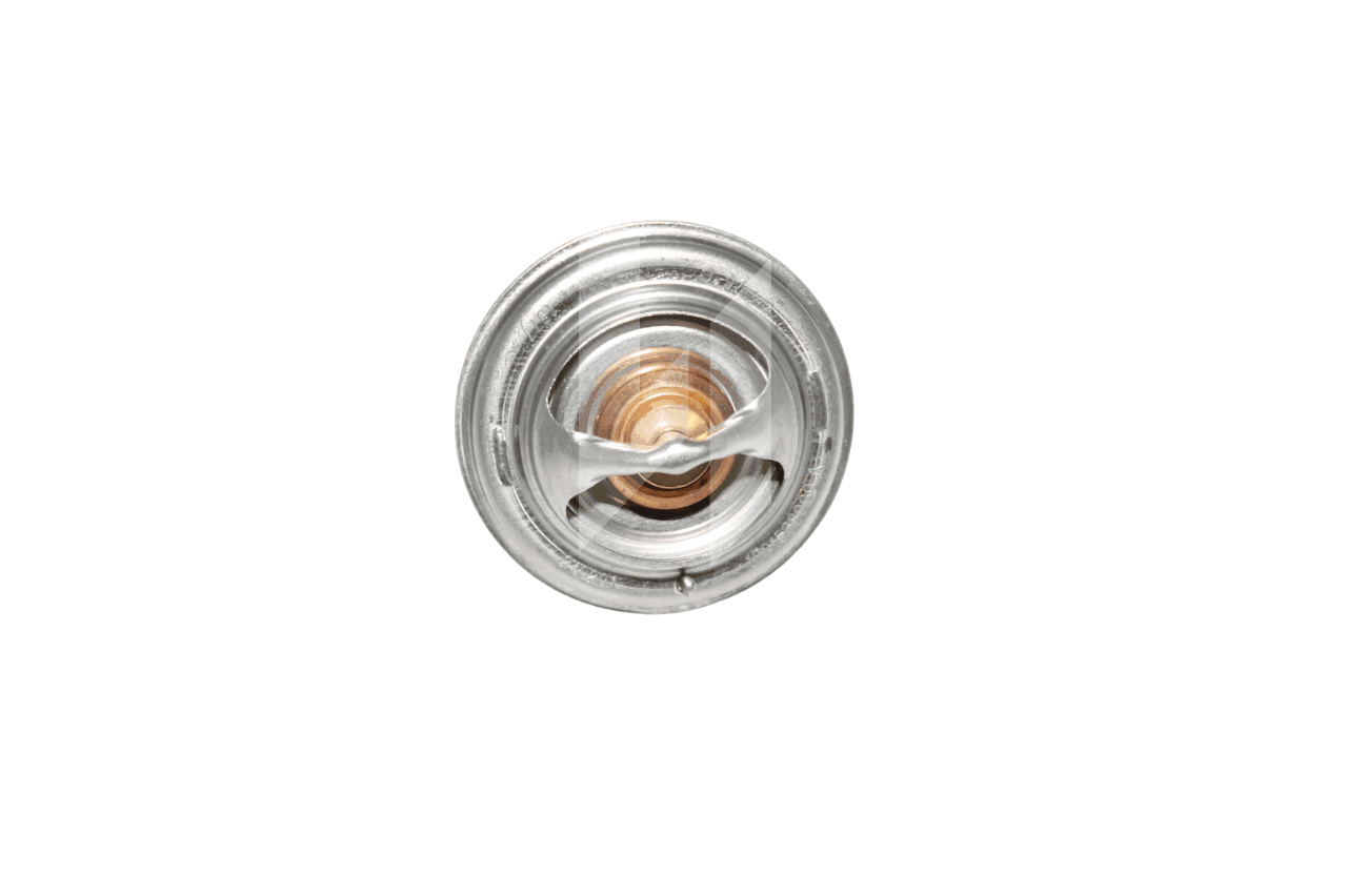 Термостат WP4.1D80E200