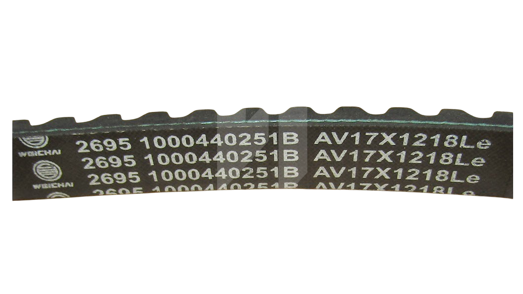 Ремень генератора WP4.1D100E200